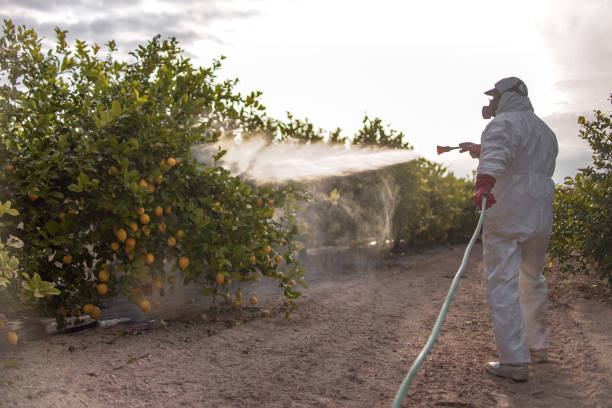 Best Best Pest Control Companies  in Pioneer, OH
