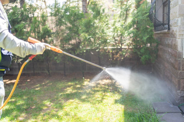 Best Rat Extermination Near Me  in Pioneer, OH