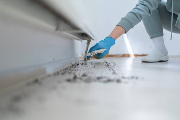 Reliable Pioneer, OH Pest Control Solutions